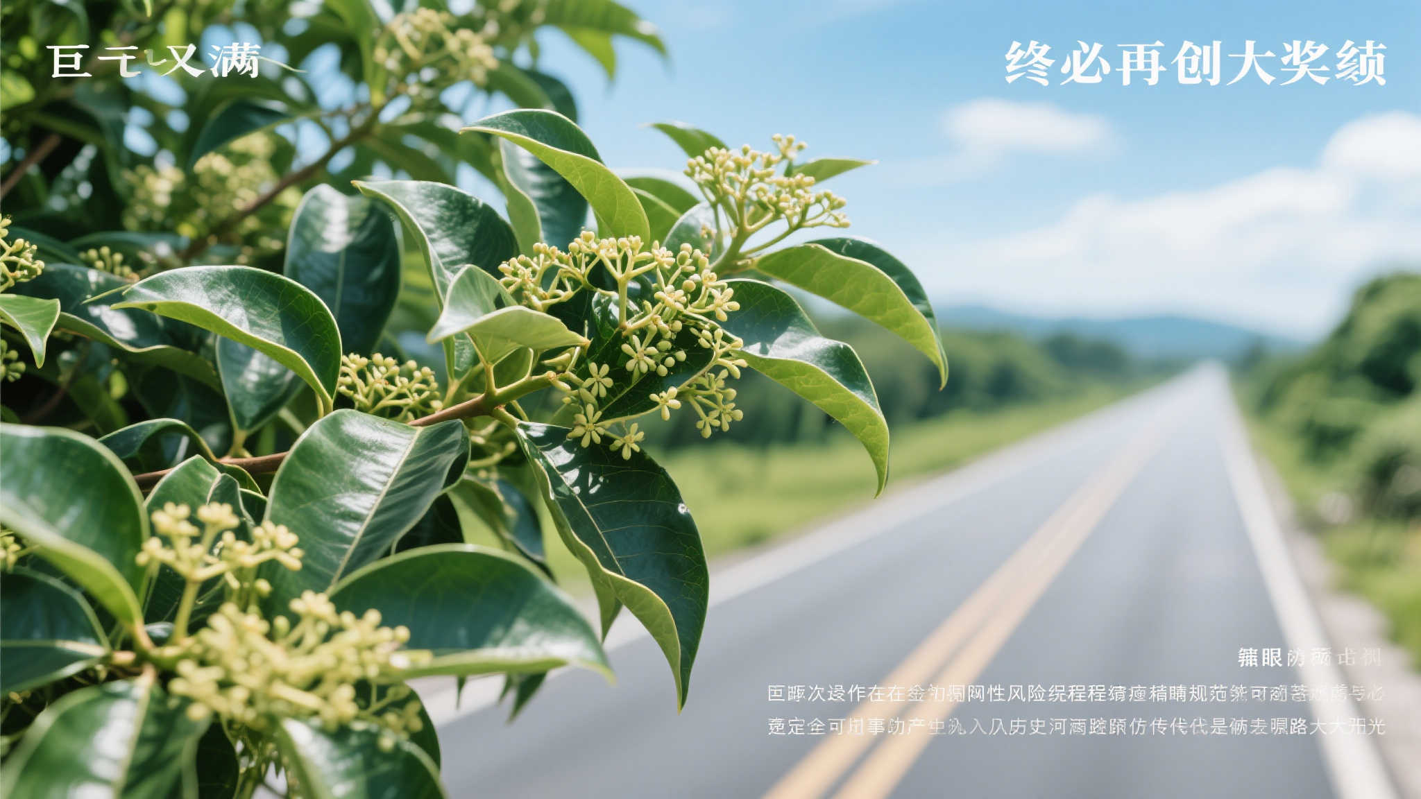 斯凯奇应对全球贸易挑战:战略重心调整而退出市场 尽管此次运作存在固有风险程序谨慎仔细规范